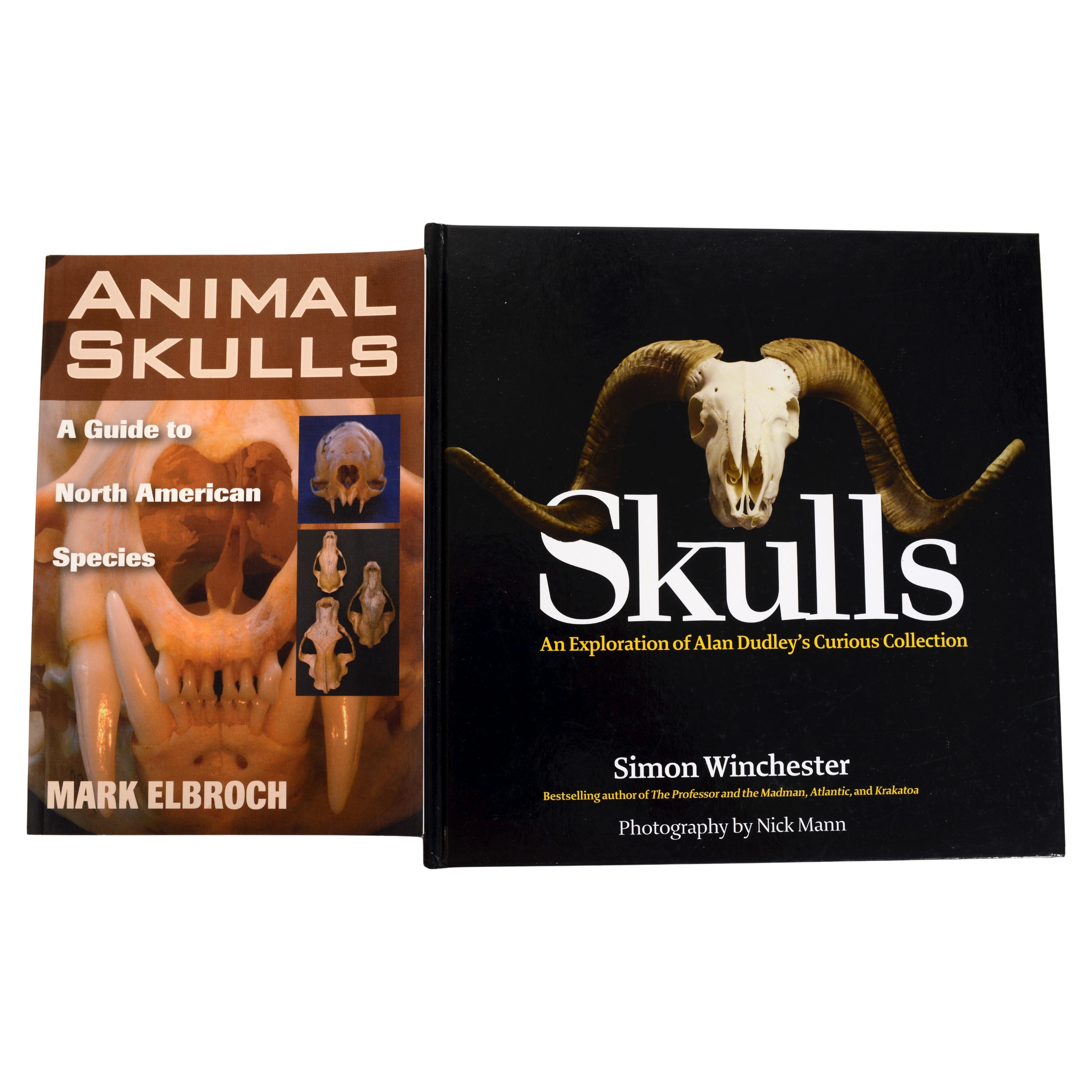 Pareja de libros sobre cráneos de animales y humanos en venta