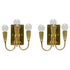 Pair of Botanical Brass Sconces