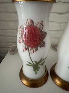Paire de lampes botaniques