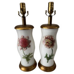 Pair of Botanical lamps