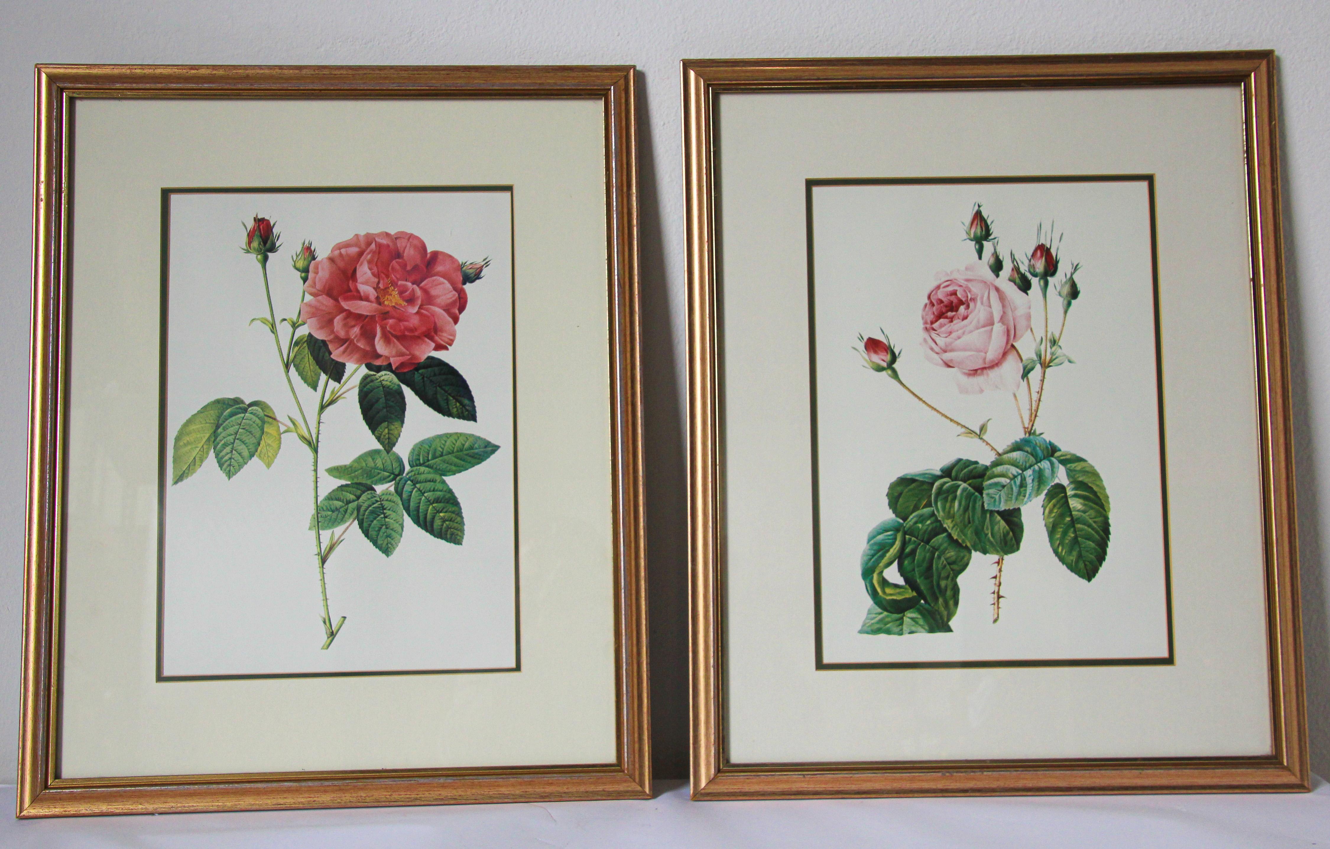 Pair of Botanical rose prints in a gilt frame.
Set of two framed rose prints - Redoute Ariel Press 1988 Printed in England.
