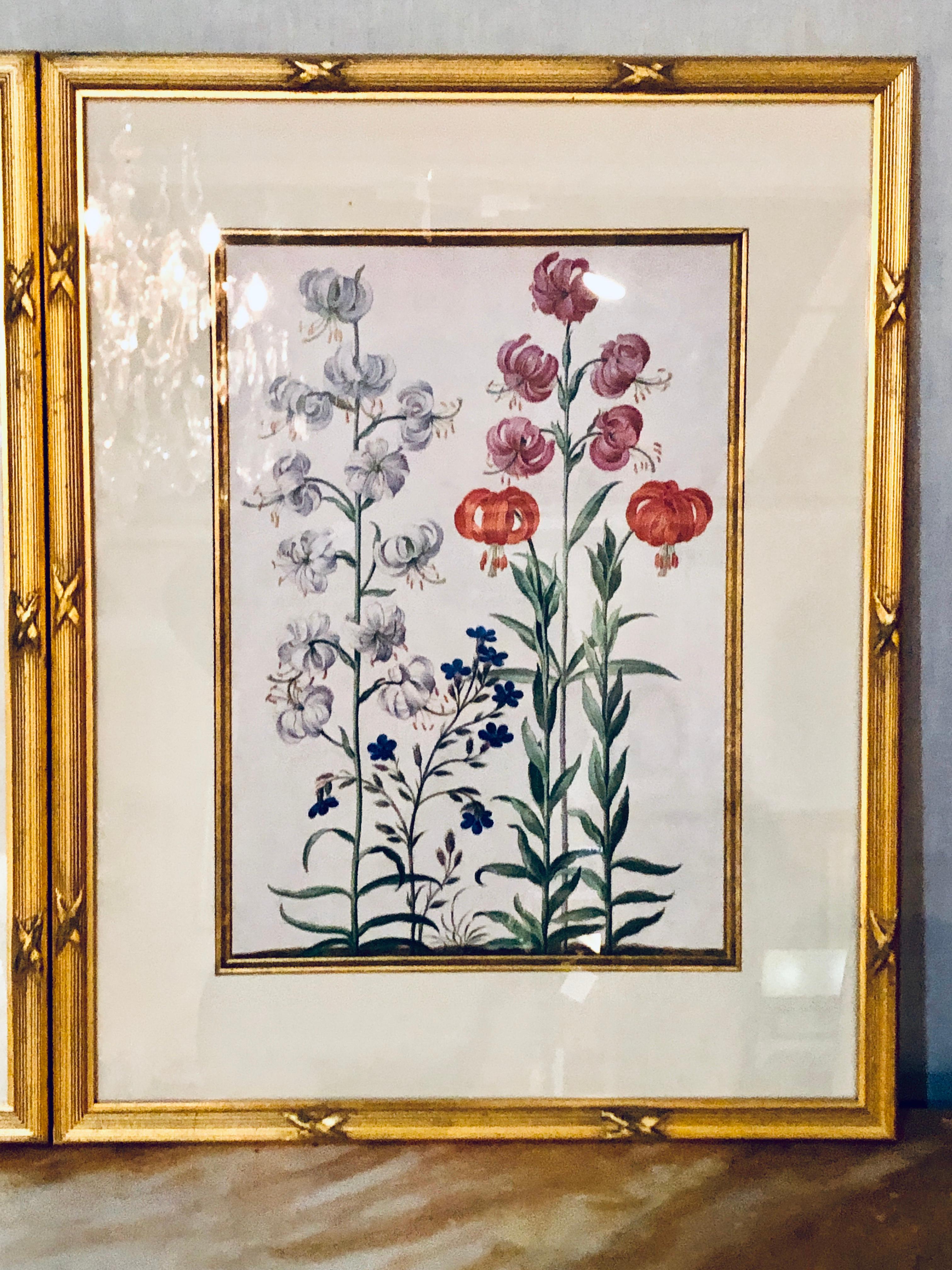 Pair of botanical chelsea house labels on reverse. Fine frames.