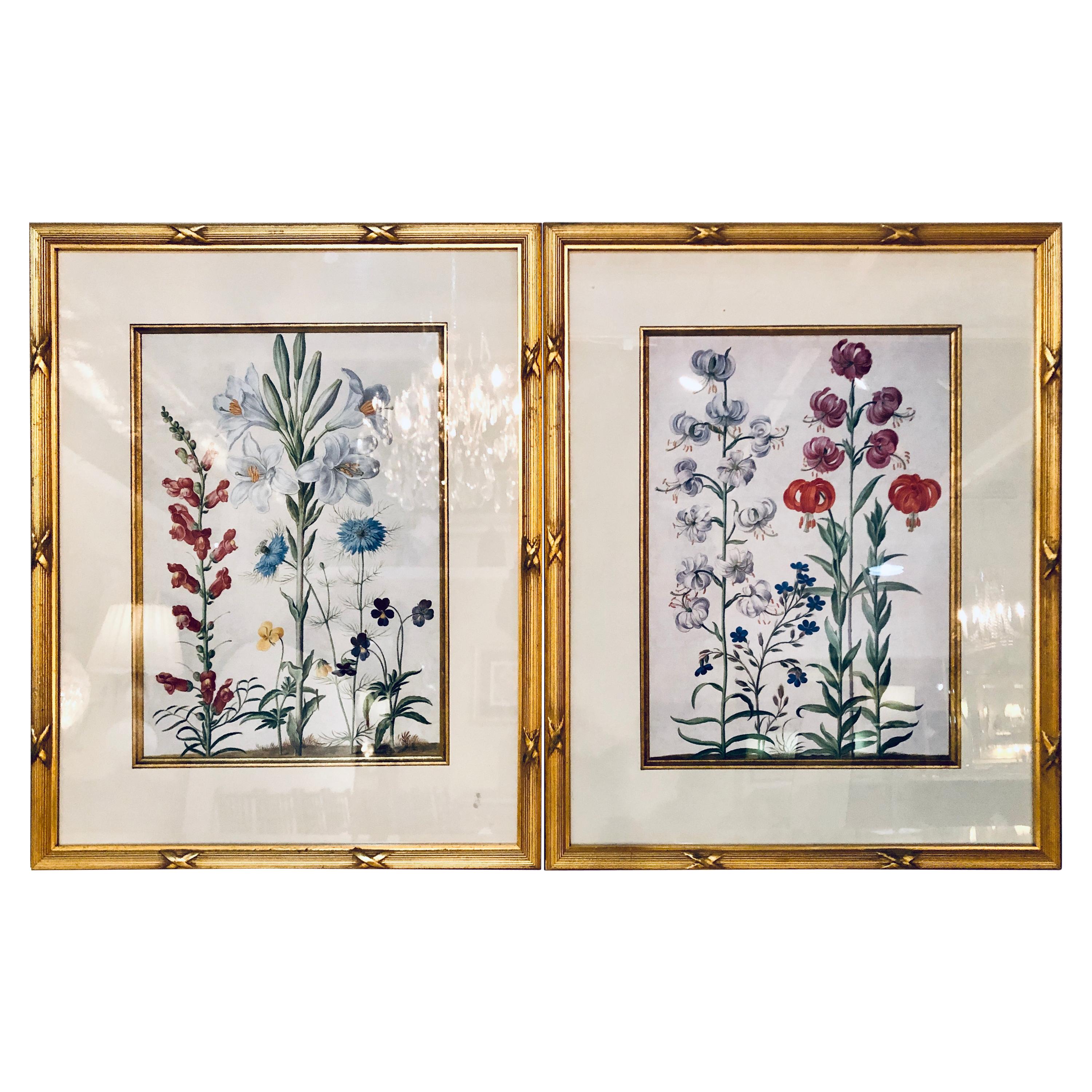 Pair of Botanicals Chelsea House Labels on Reverse. Fine Frames