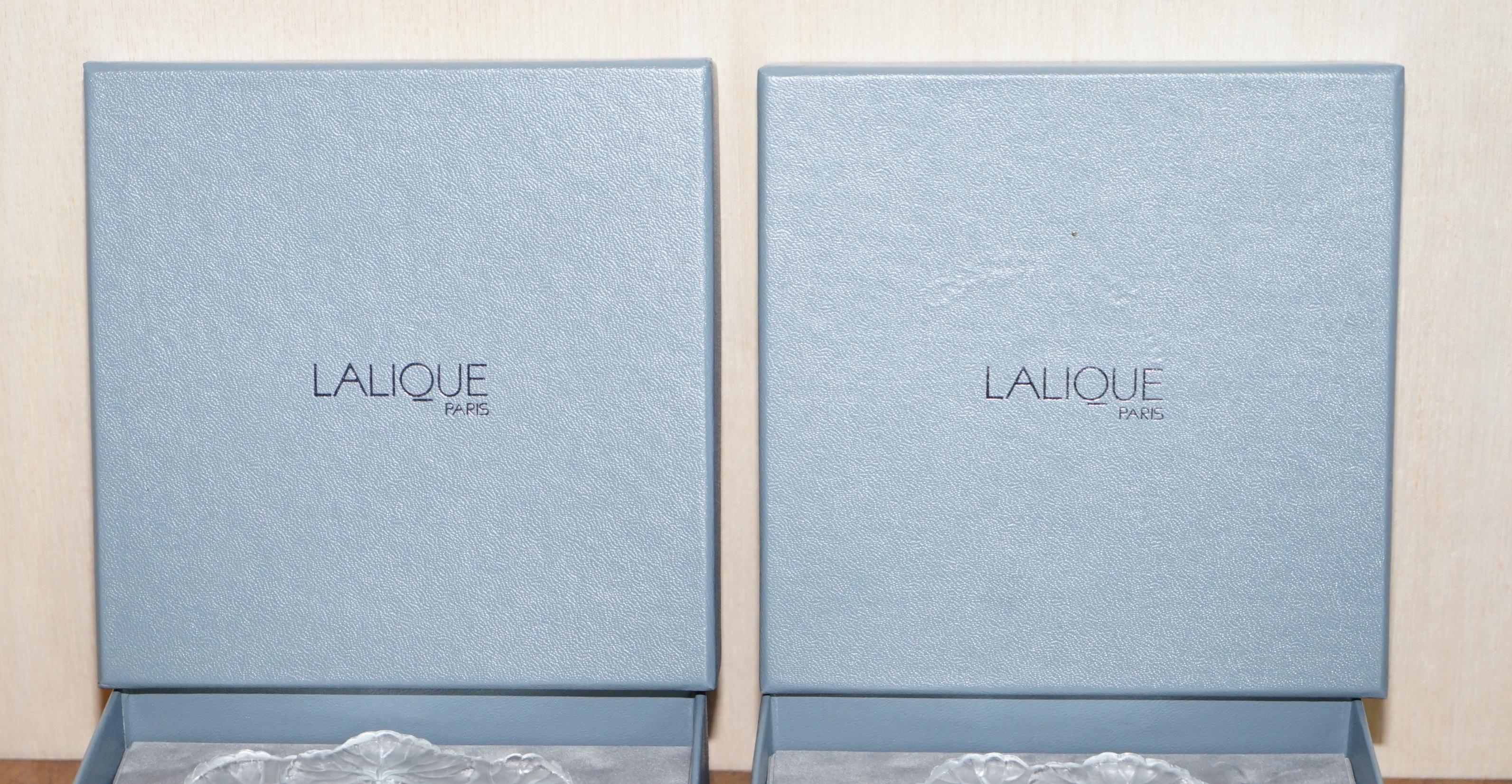 Paar brandneue Rene Lalique Cendrier Honfleur Kleine Geschirrschalen, im Karton im Angebot 6