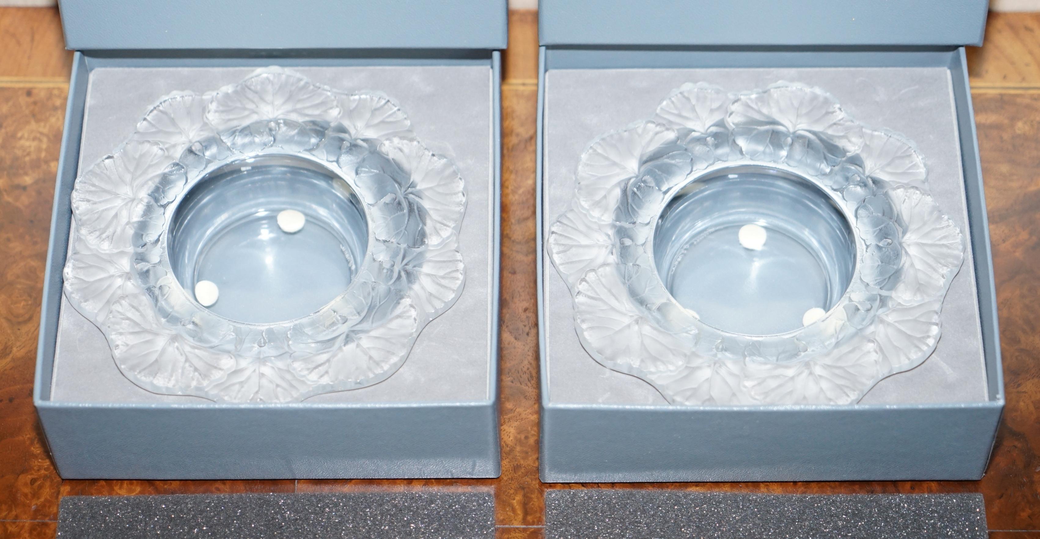 Paar brandneue Rene Lalique Cendrier Honfleur Kleine Geschirrschalen, im Karton im Angebot 5