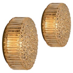 Pair of Brass Amber Glass Wall Lights/ Flush Mounts by Motoko Isshi for Staff