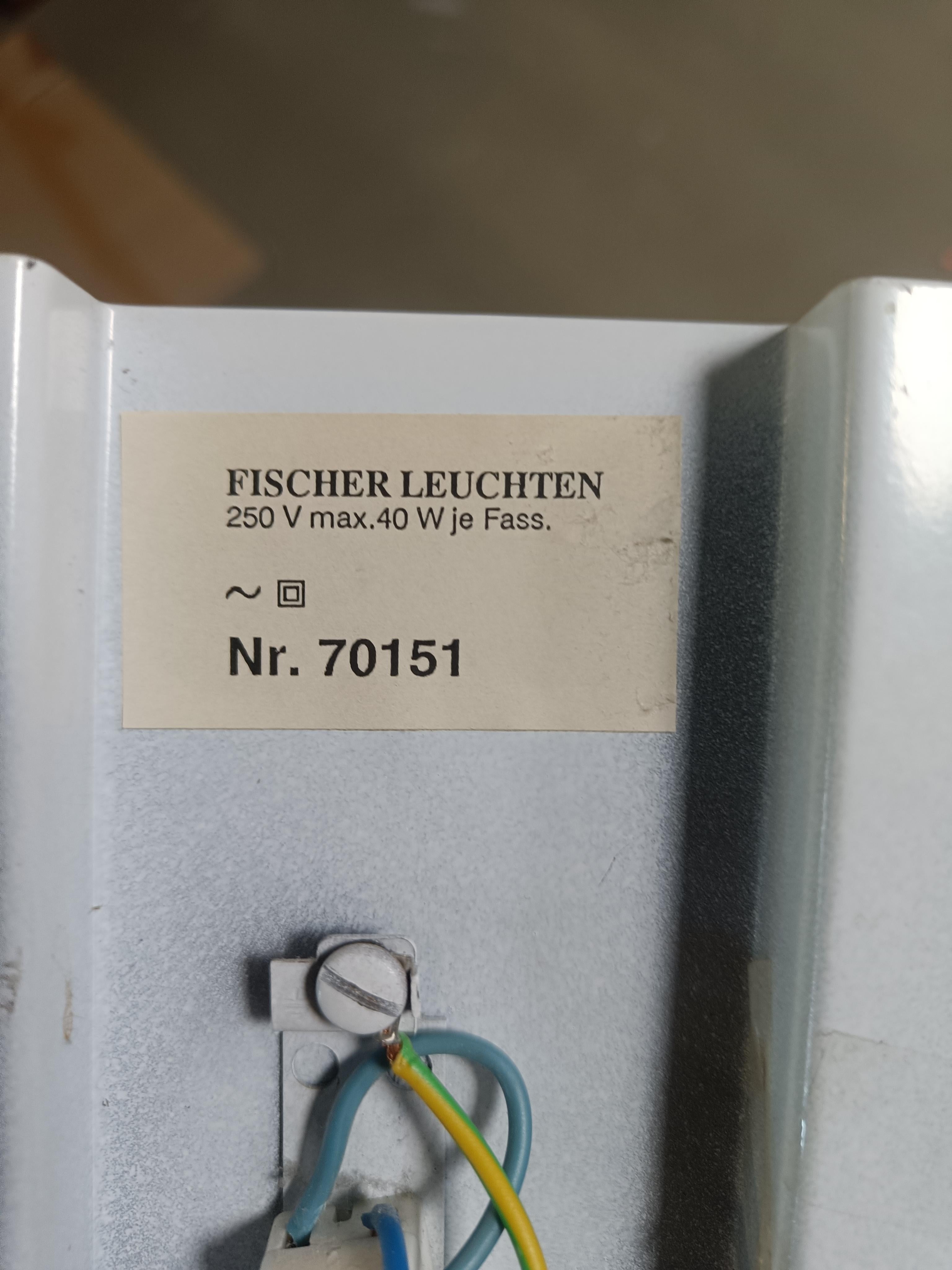 Mid-Century moderno Coppia di applique in ottone e vetro di Fischer Leuchten, anni '60 in vendita