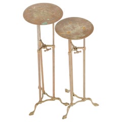 Antique Pair of Brass and Iron Adjustable Plant Stands, circa 1910