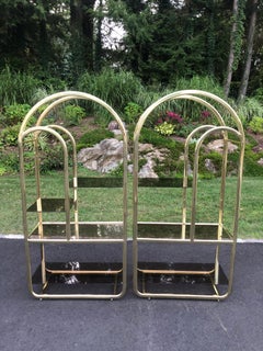 Pair of Brass and Smoked Glass Etageres