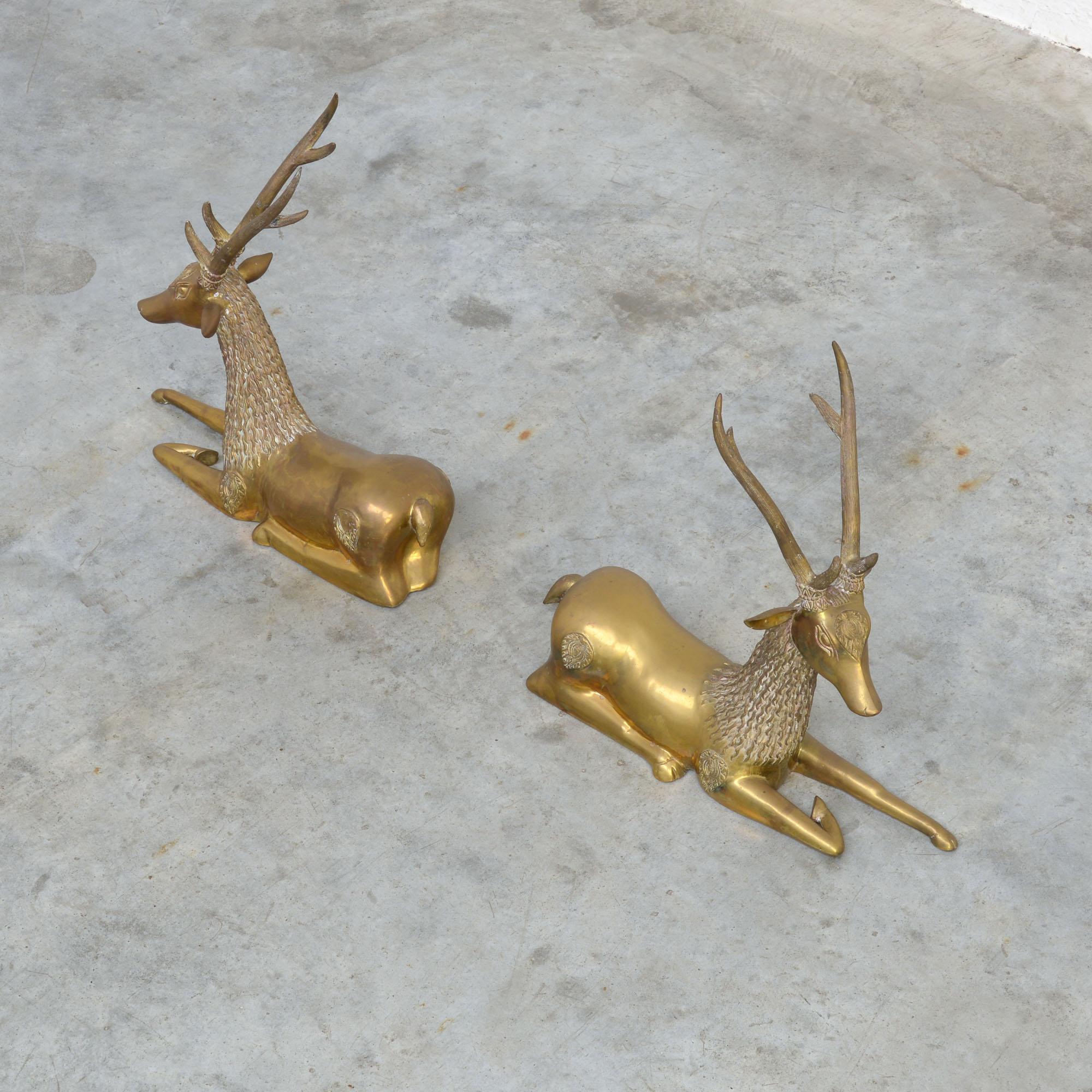 brass deers