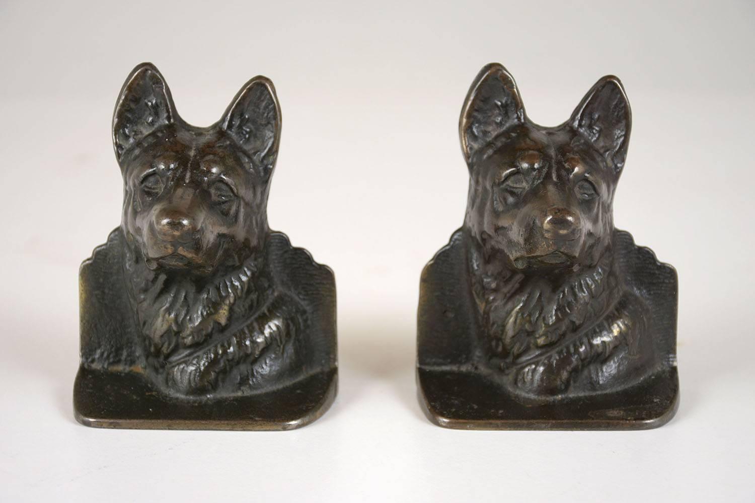 Cette paire de serre-livres en forme de chien réaliste est fabriquée en laiton. Les serre-livres ressemblent à des bergers allemands et sont moulés à partir du cou. Cette paire de serre-livres est solide:: unique et prête à être utilisée sur