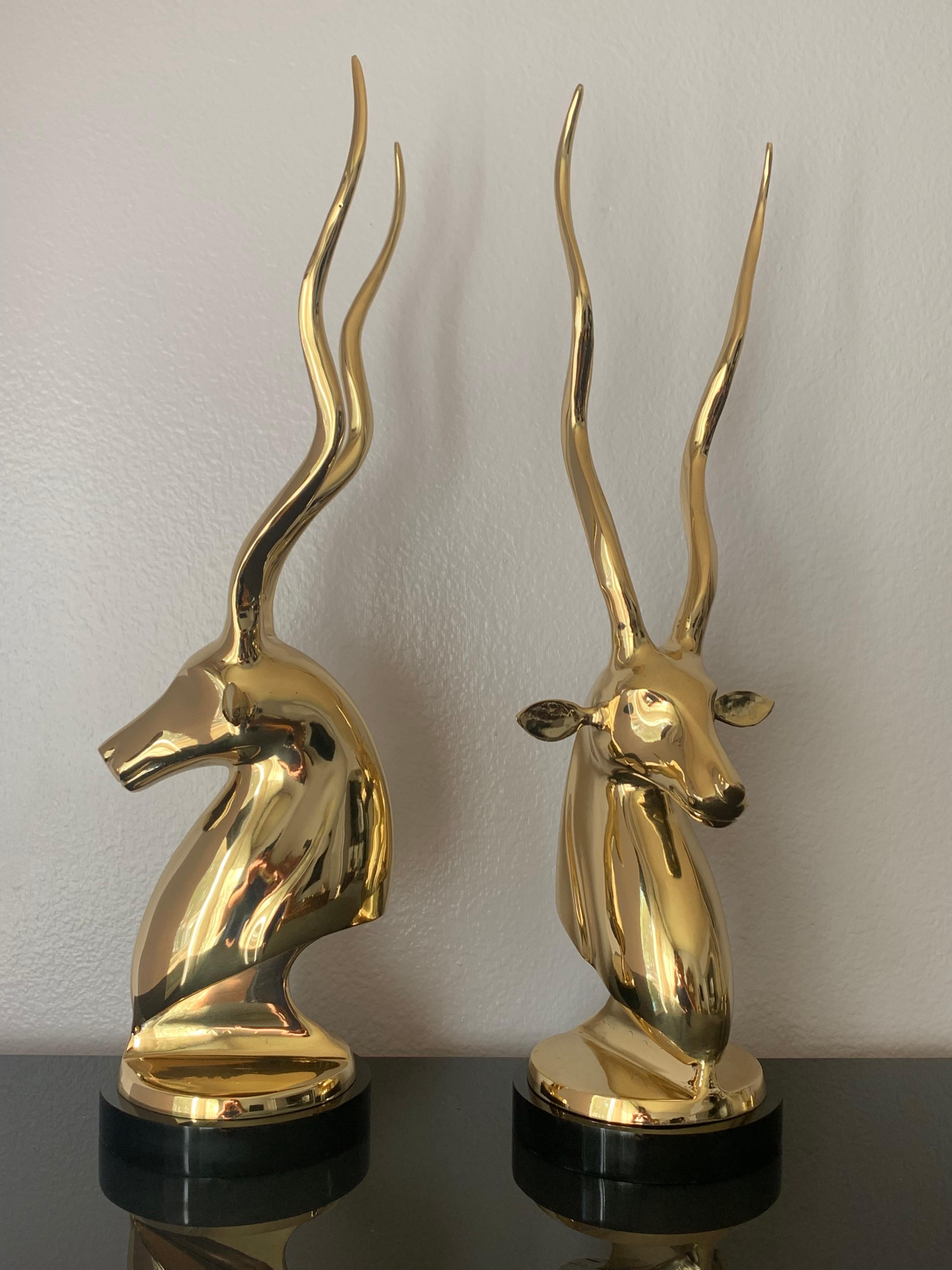 Pair of brass kudu or antelope busts on black acrylic base.
