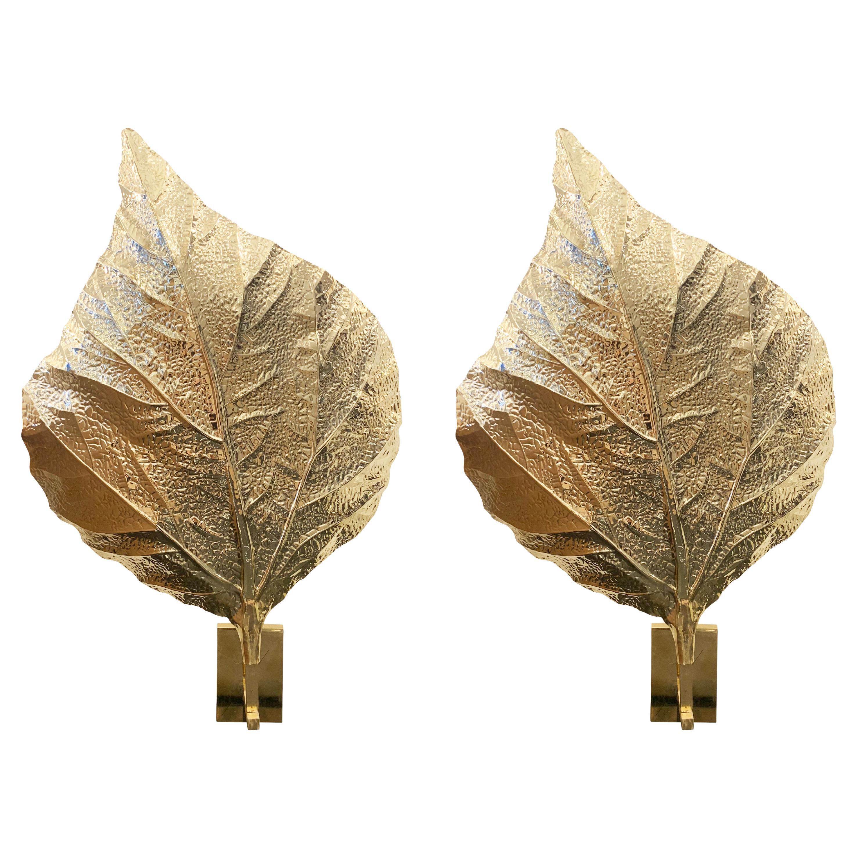 Pair of Brass Leaf Wall Lights by Tommaso Barbi