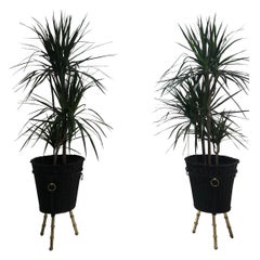 Pair of Brass Planters by Jacques Adnet, 1950