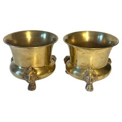 Pair of Brass Planters or Jardinieres with Lion Paw Feet