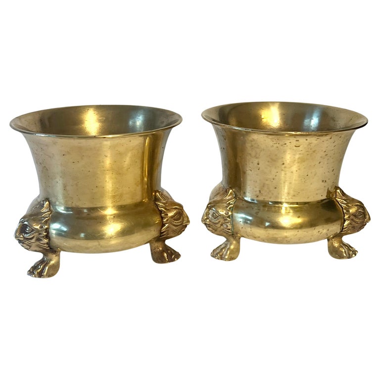 Pair of Brass Planters or Jardinieres with Lion Paw Feet For Sale