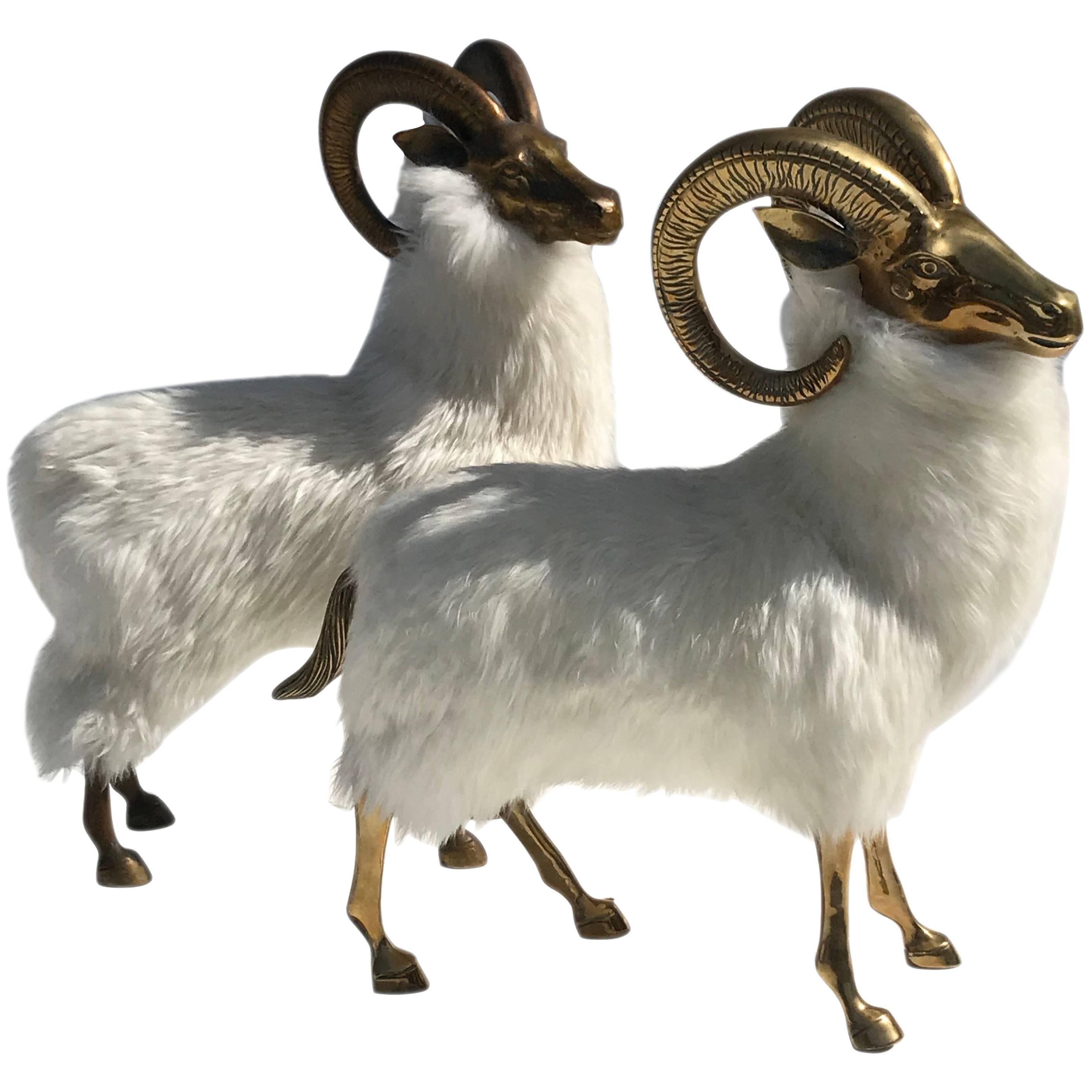 Pair of Brass Sheep / Rams Style of Lalanne