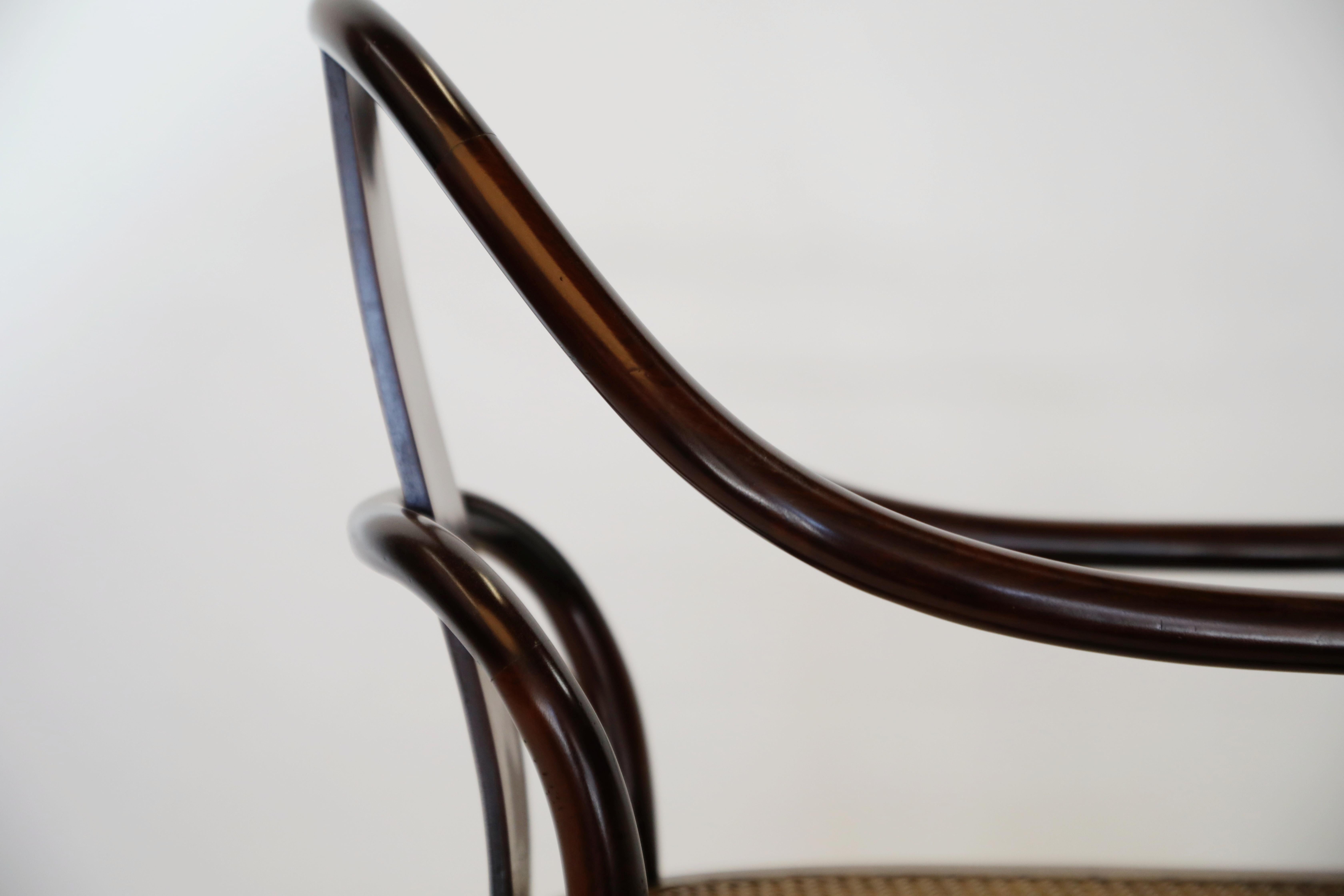 Pair of Brazilian Rosewood and Cane Bentwood Chairs, circa 1940s Brazil 4