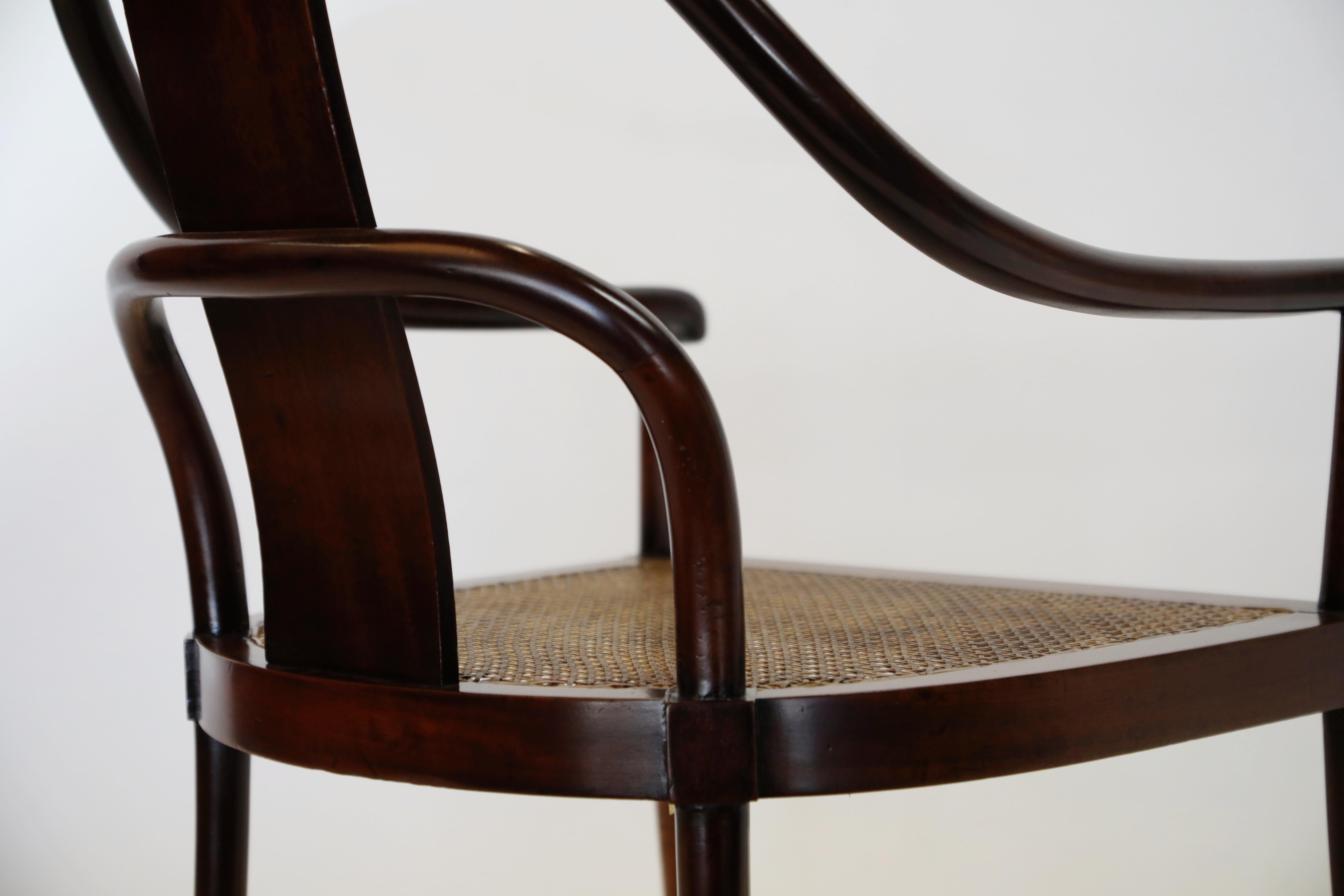 Pair of Brazilian Rosewood and Cane Bentwood Chairs, circa 1940s Brazil 6