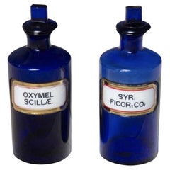 Pair of Bristol Chemist Bottles