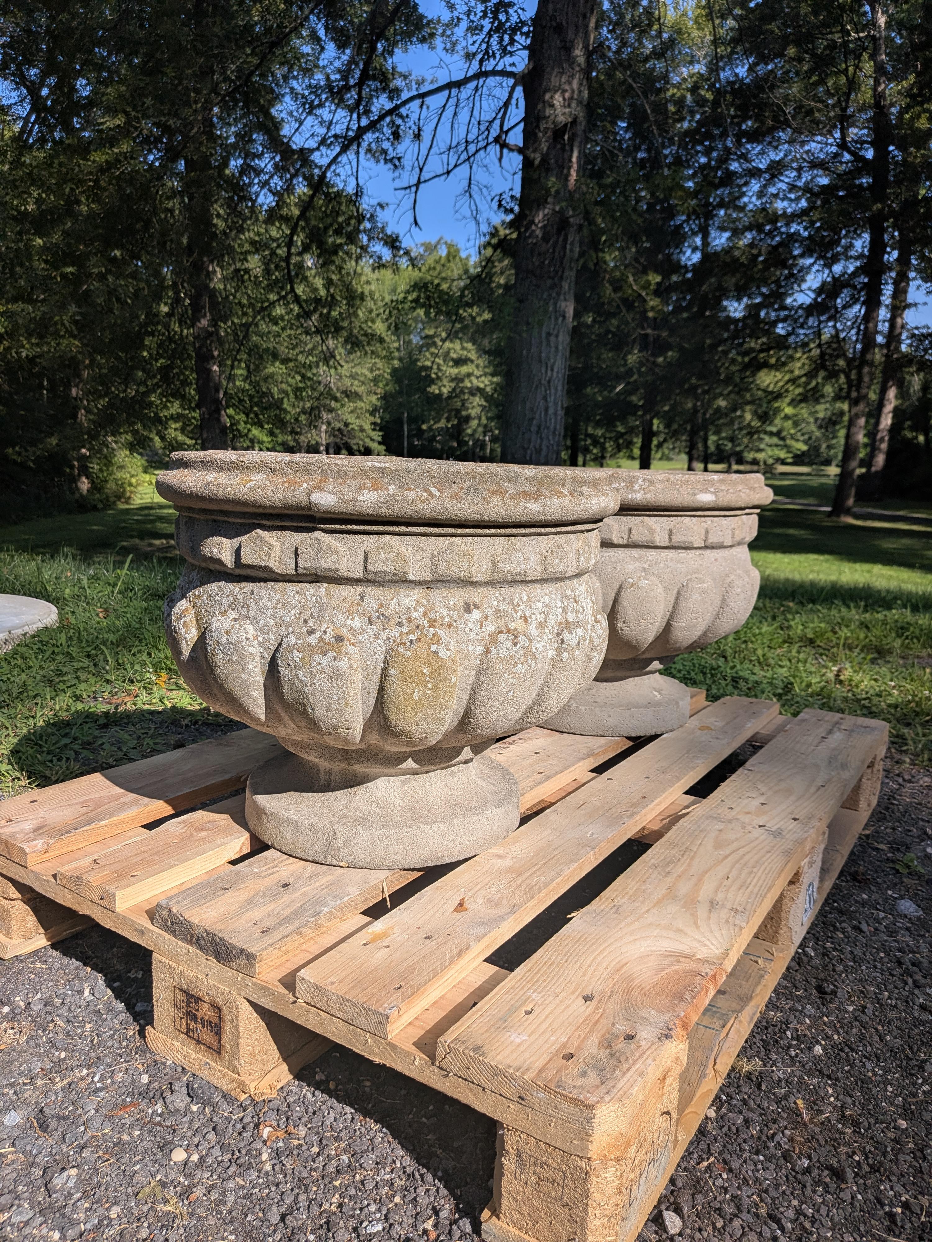 Coppia di fioriere in pietra inglese / Jardinieres In condizioni buone in vendita a Gardiner, NY
