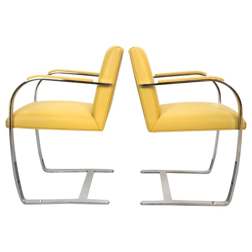 Pair of Brno Chairs by Ludwig Mies van der Rohe for Knoll Studio