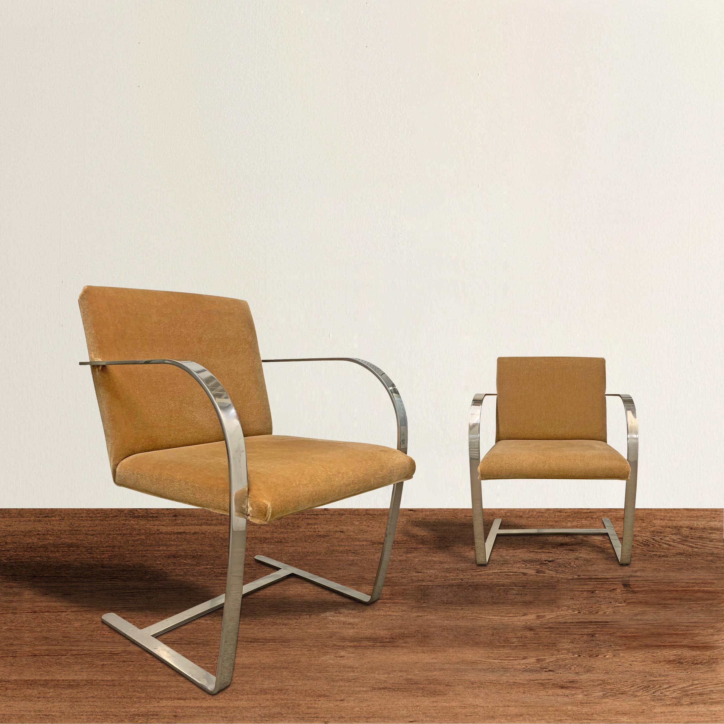 A pair of vintage Brno chairs with polished chrome flatbar steel frames and champagne velvet upholstery. The Brno chair was designed by Ludwig Meis van der Rohe 1930 for the Tugendhat House in Brno, Czech Republic, and remains an icon of 20th