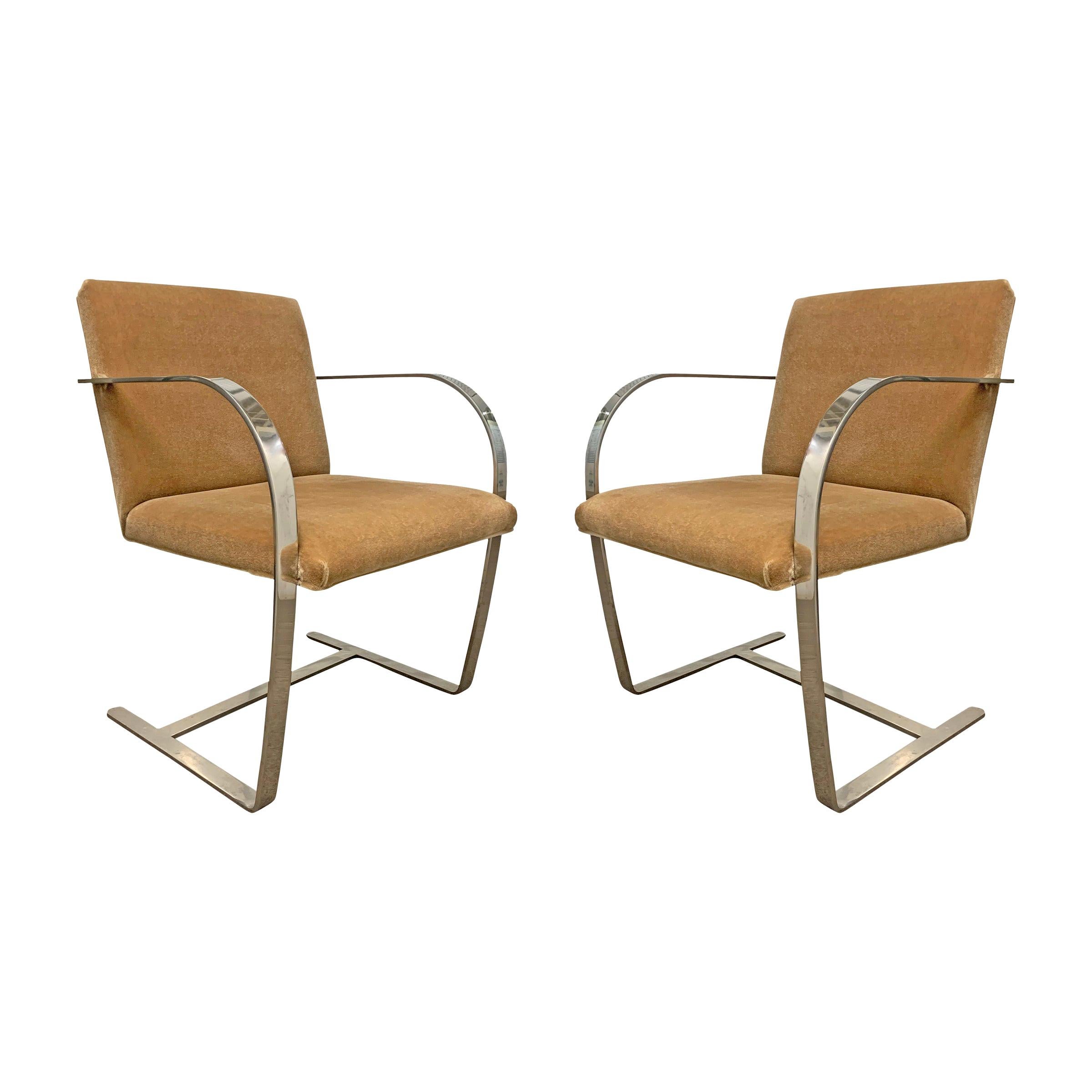 Pair of Brno Chairs by Mies van der Rohe