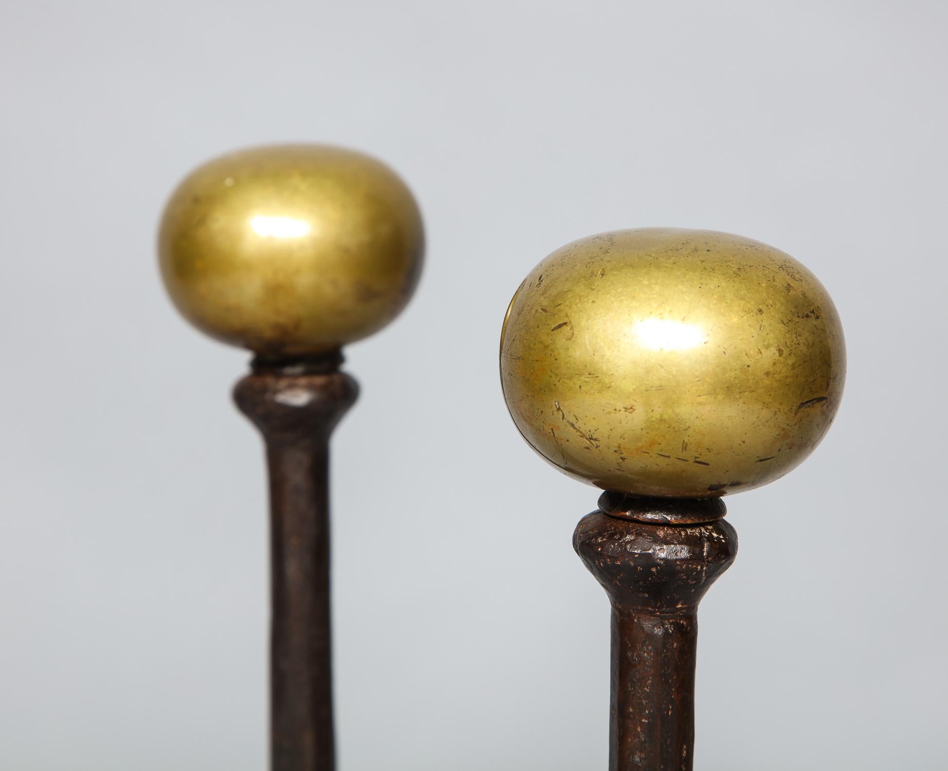 Pair of Bronze and Iron Andirons 1