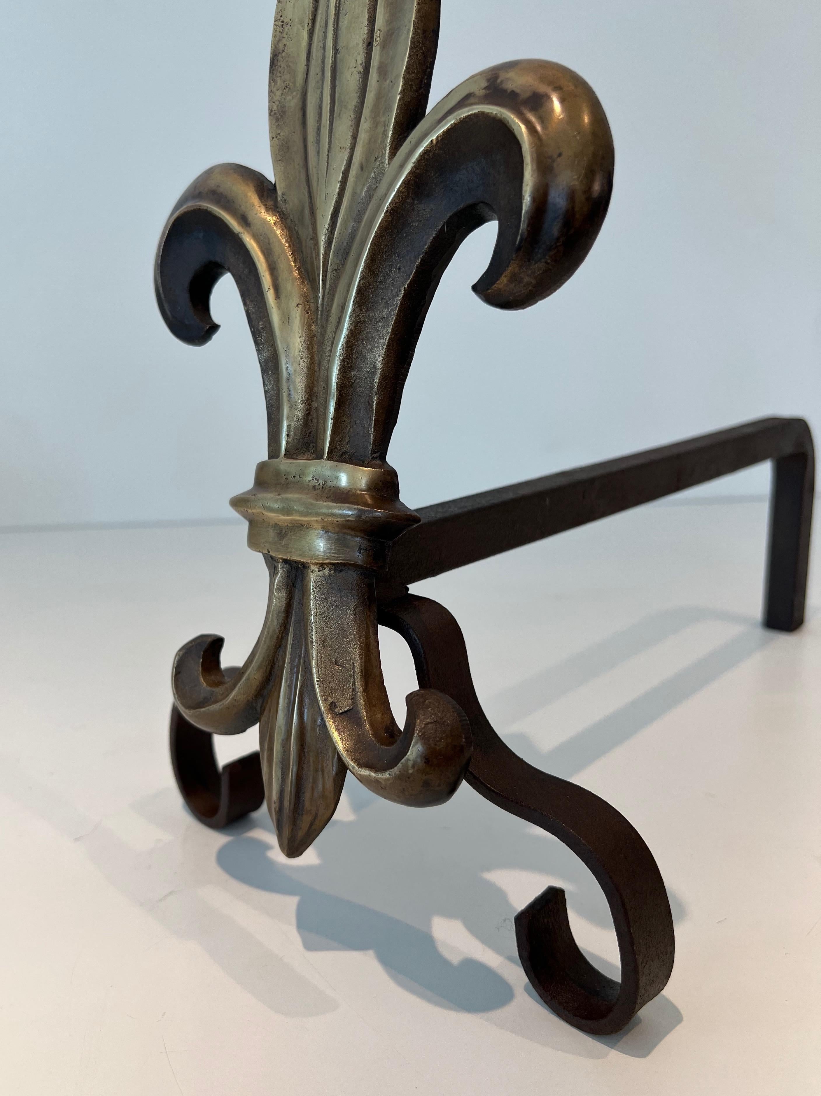 Pair of Bronze and Wrought Iron Andirons with a Lily Flower For Sale 4