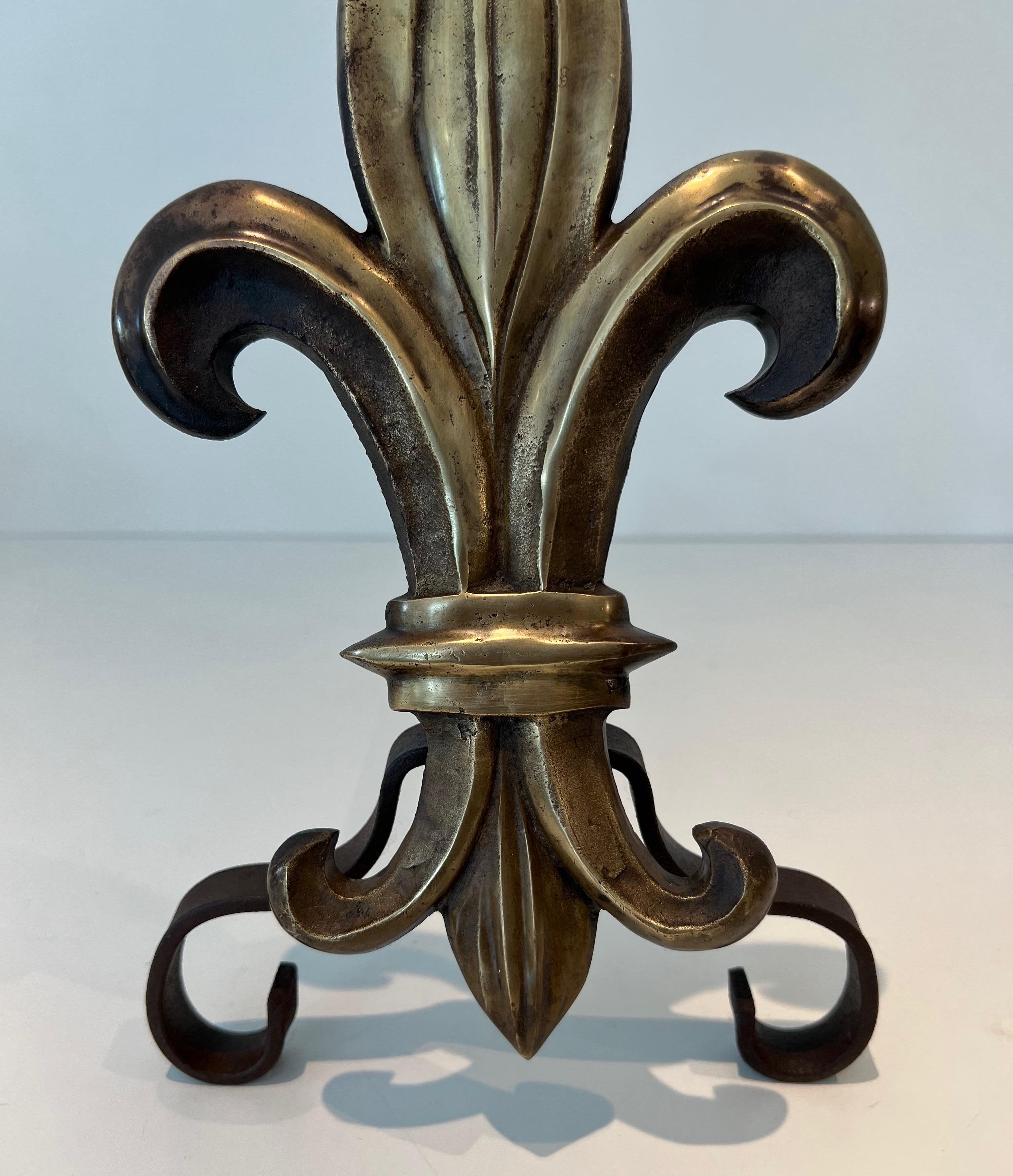Pair of Bronze and Wrought Iron Andirons with a Lily Flower For Sale 5