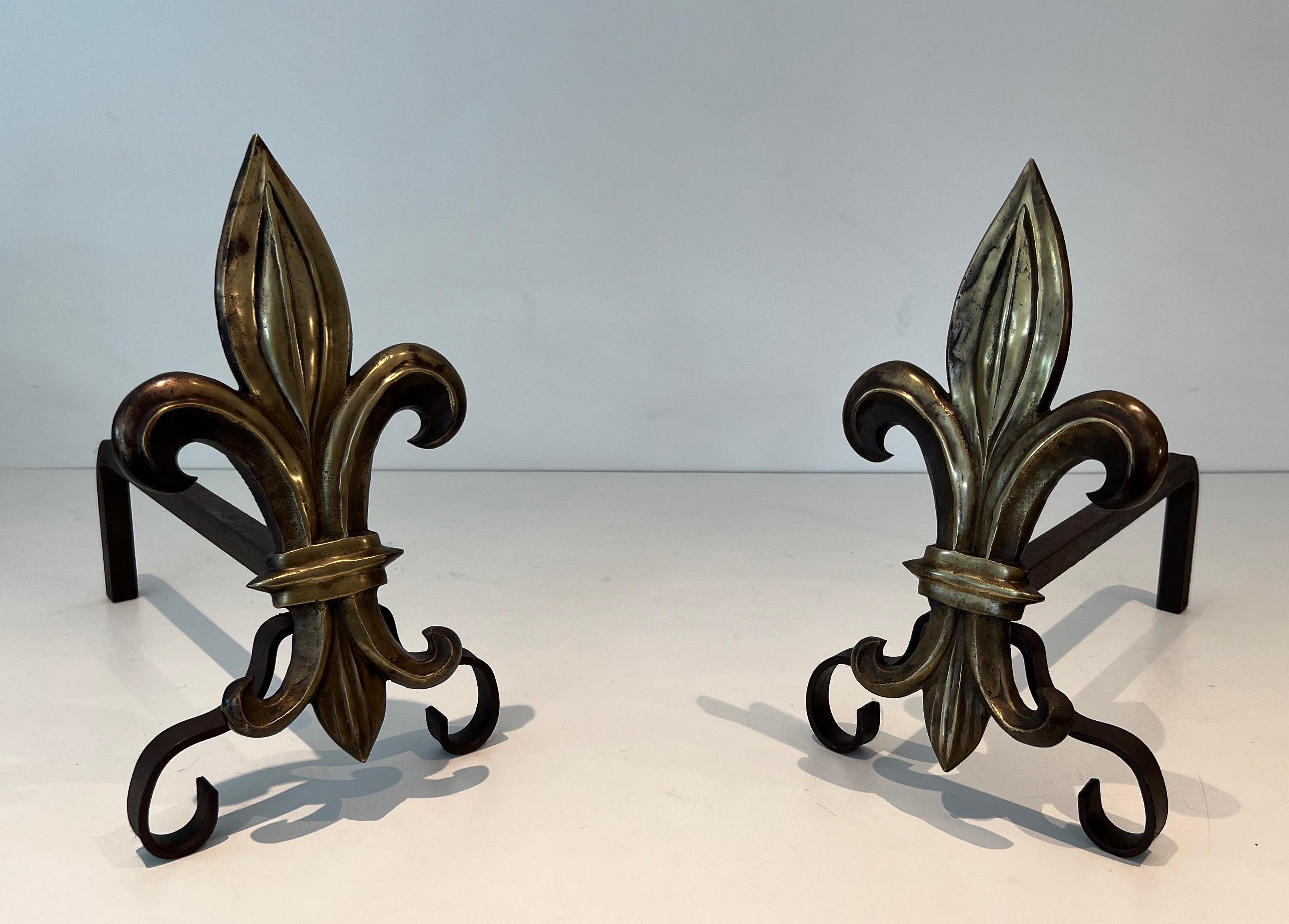 Gothic Revival Pair of Bronze and Wrought Iron Andirons with a Lily Flower For Sale
