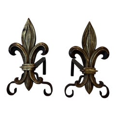 Paar Bronze- und Schmiedeeisen-Feuerböcke mit Lilienblume aus Bronze