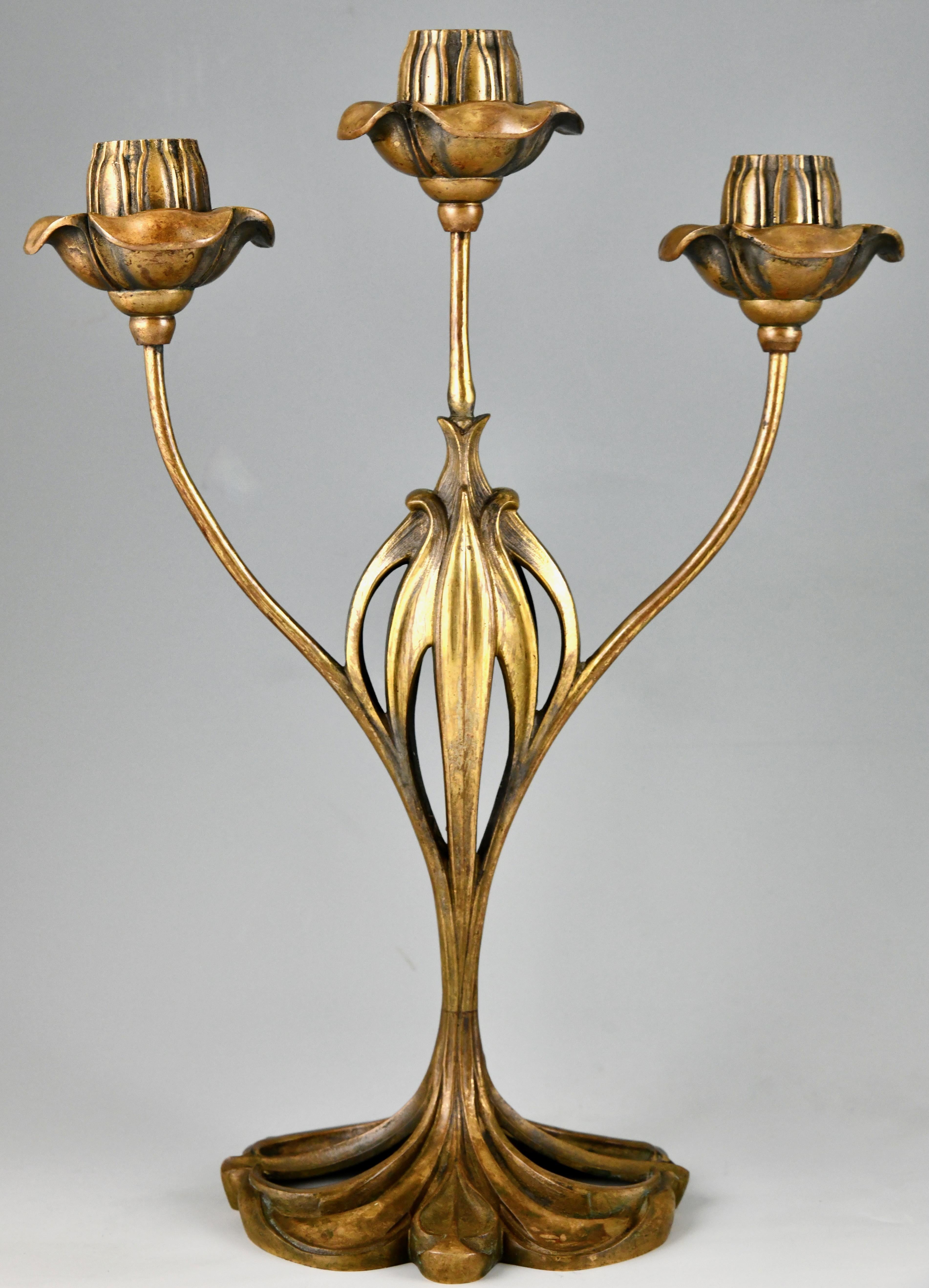 Bronze Pair of bronze Art Nouveau candelabra with floral design by Georges de Feure For Sale