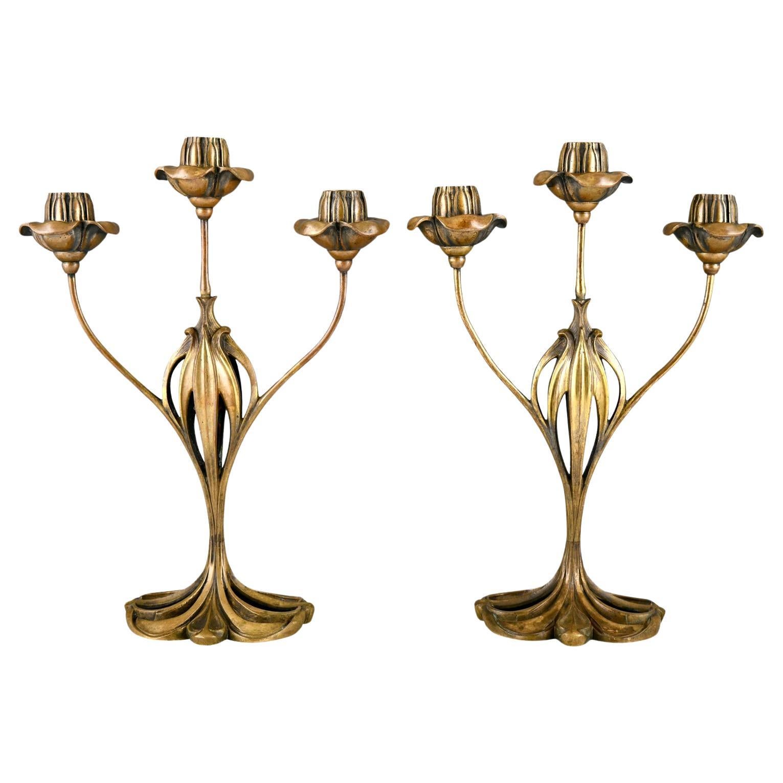 Pair of bronze Art Nouveau candelabra with floral design by Georges de Feure For Sale