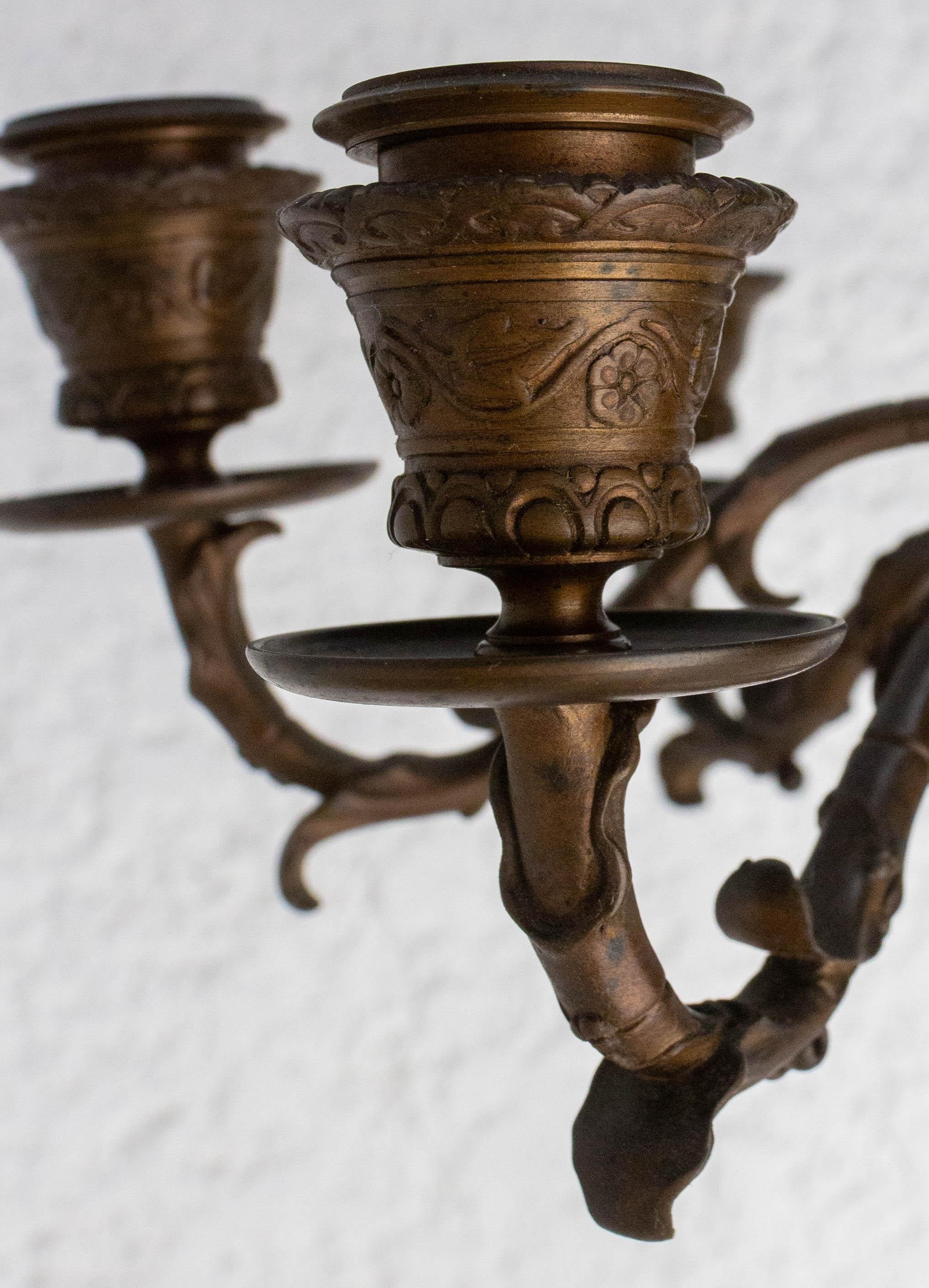Pair of Bronze Candleholders, Heron Candelabra French, Late 19th Century 2