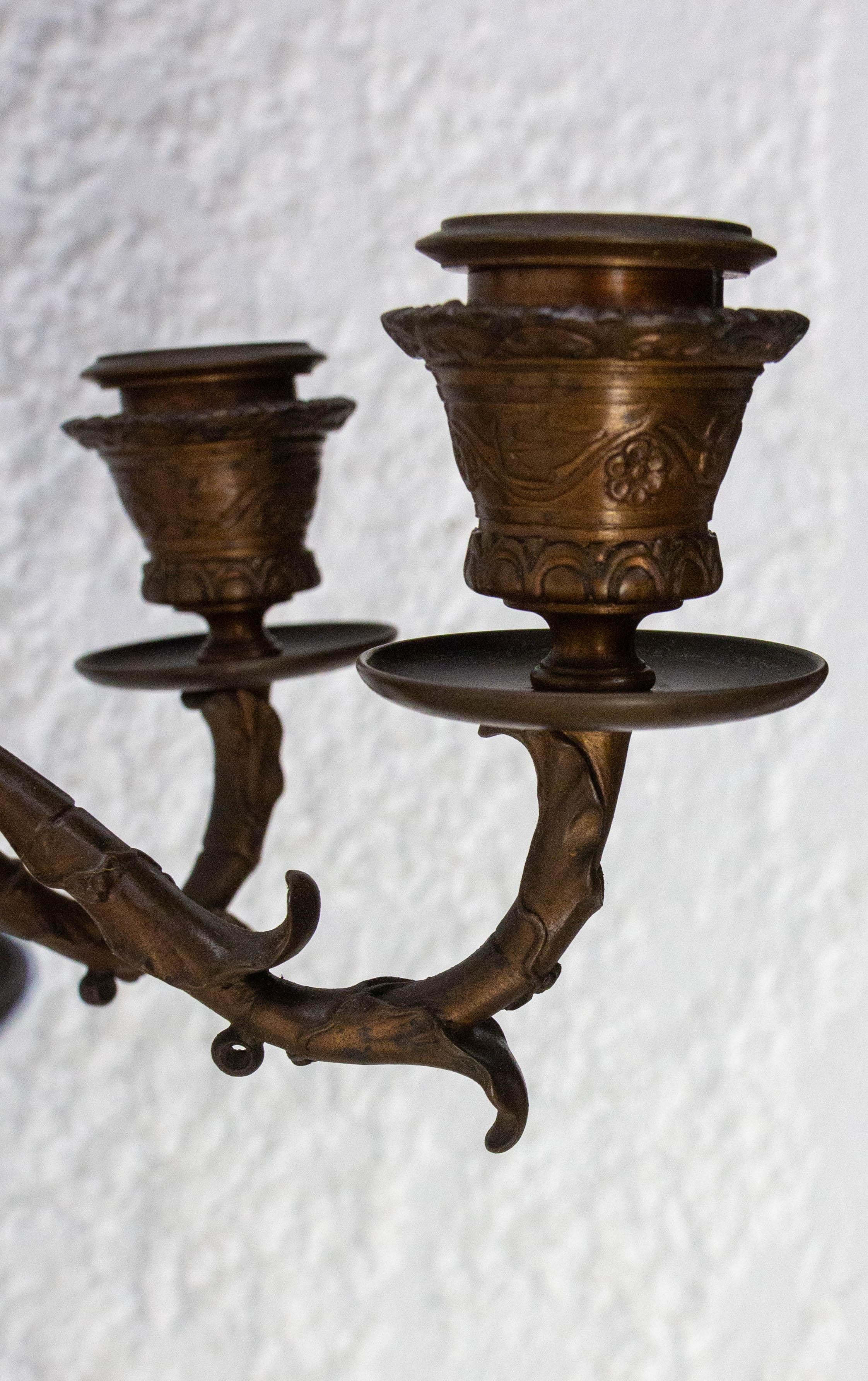 Pair of Bronze Candleholders, Heron Candelabra French, Late 19th Century 3
