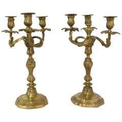 Pair of Bronze Candleholders Louis XV Style, French 19th Century