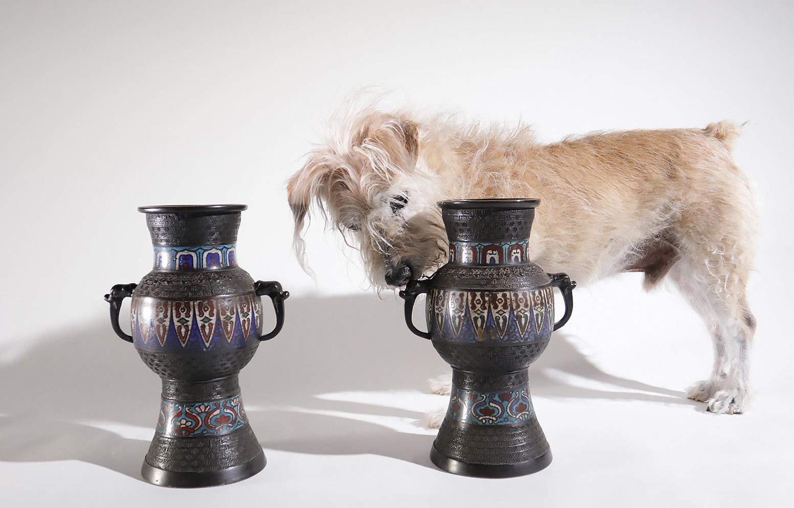 Very nice decorative pair of cloisonné´ vases made in Japan in the late 19th century.
Animal shaped handles and beautiful blue and red colors.
One of the vases is missing the bottom.
  