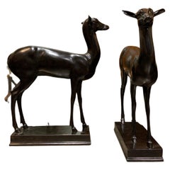 Pair of bronze deers after antique 