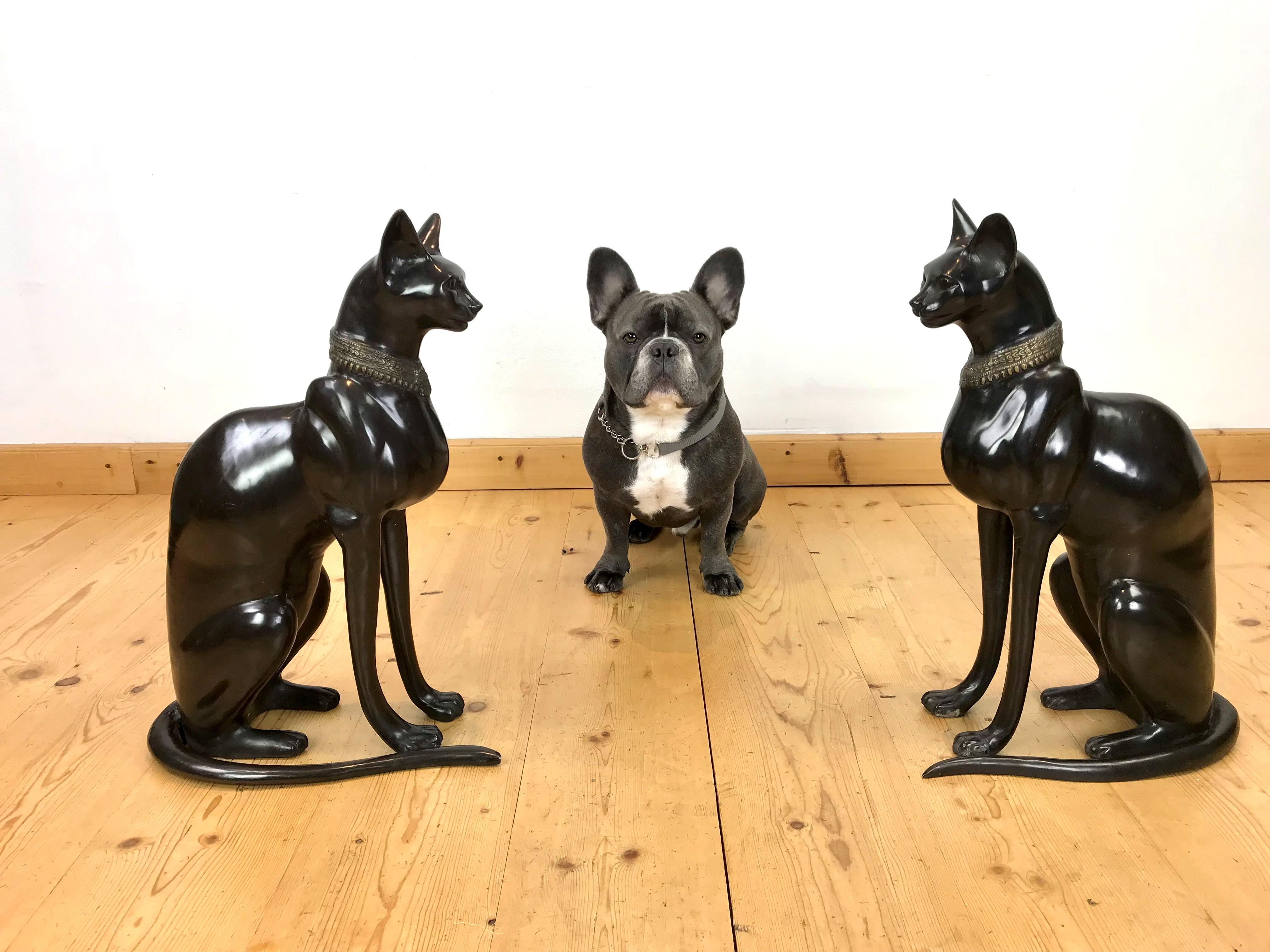 Vintage pair of bronze Egyptian Sphynx Cats in Art Deco Style. 
These seated Egyptian Style Sphinx cats are in dark brown patinated bronze with a gold-plated collar around the neck. It's a lifesize couple of cat sculptures with their tale on