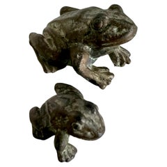 Pair of Bronze Frog or Toads