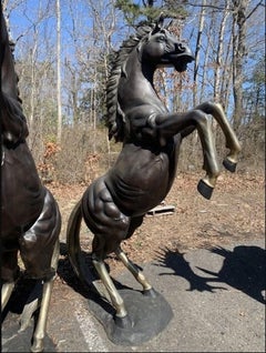 Pair of Bronze Horse Statues