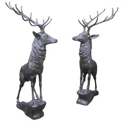 Pair of Bronze Life 20th Century Size Stags on Rocks in a Majestic Pose