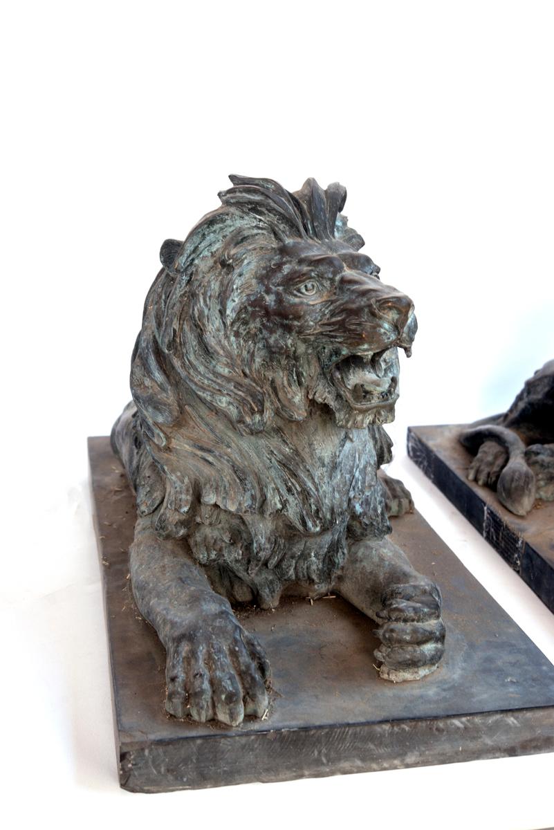 Pair of bronze lions.