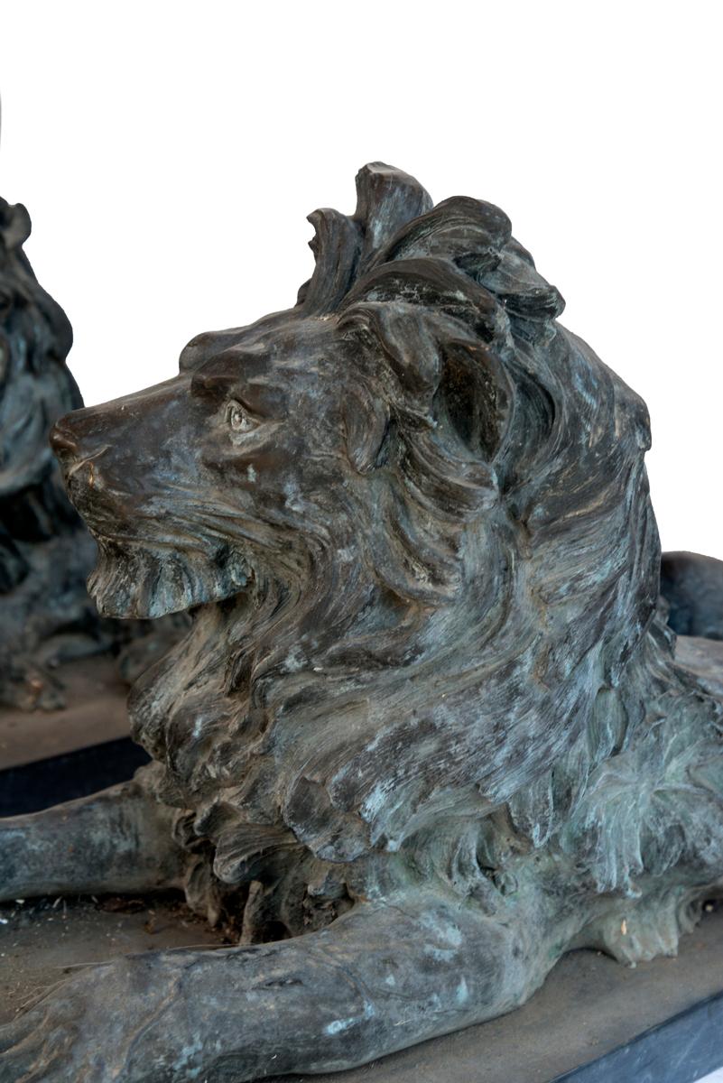 Pair of Bronze Lions 1