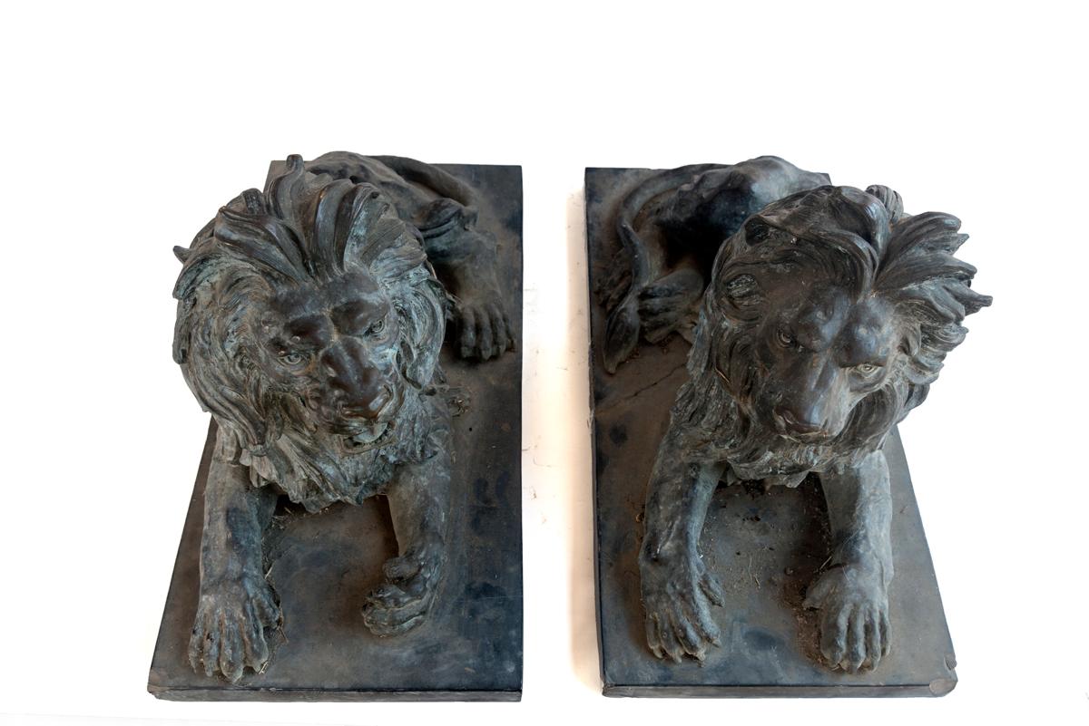 Pair of Bronze Lions 2