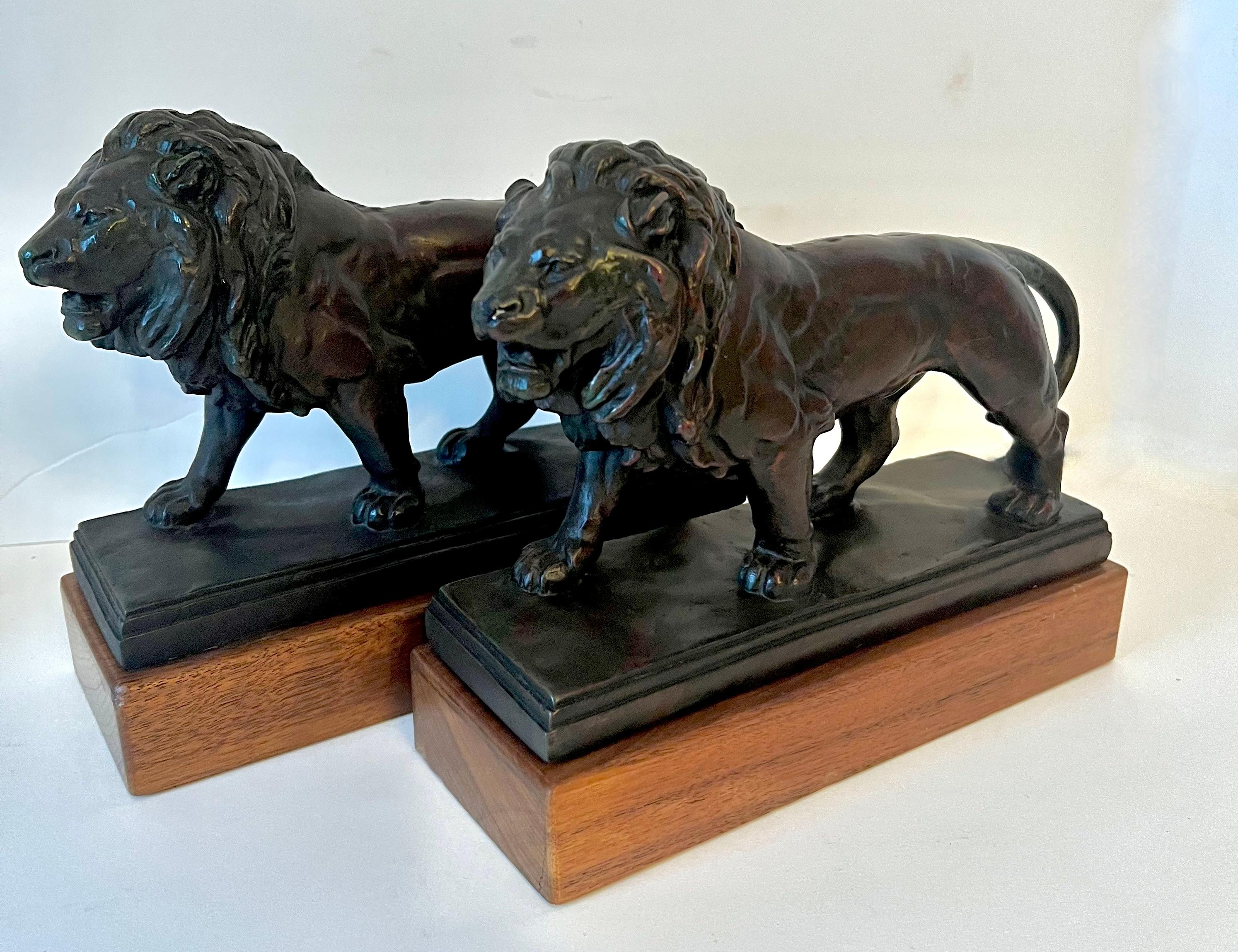 Pair of Bronze Lions on a wooden base. The pair are very sculptural and ready for flank any shelf or console table. Also work great as a pair of regal bookends. Nice size and from an old Hollywood Estate associated with MGM Studios.