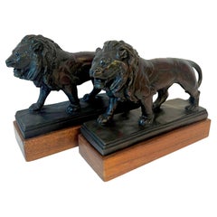 Pair of Bronze Lions on Wood Base