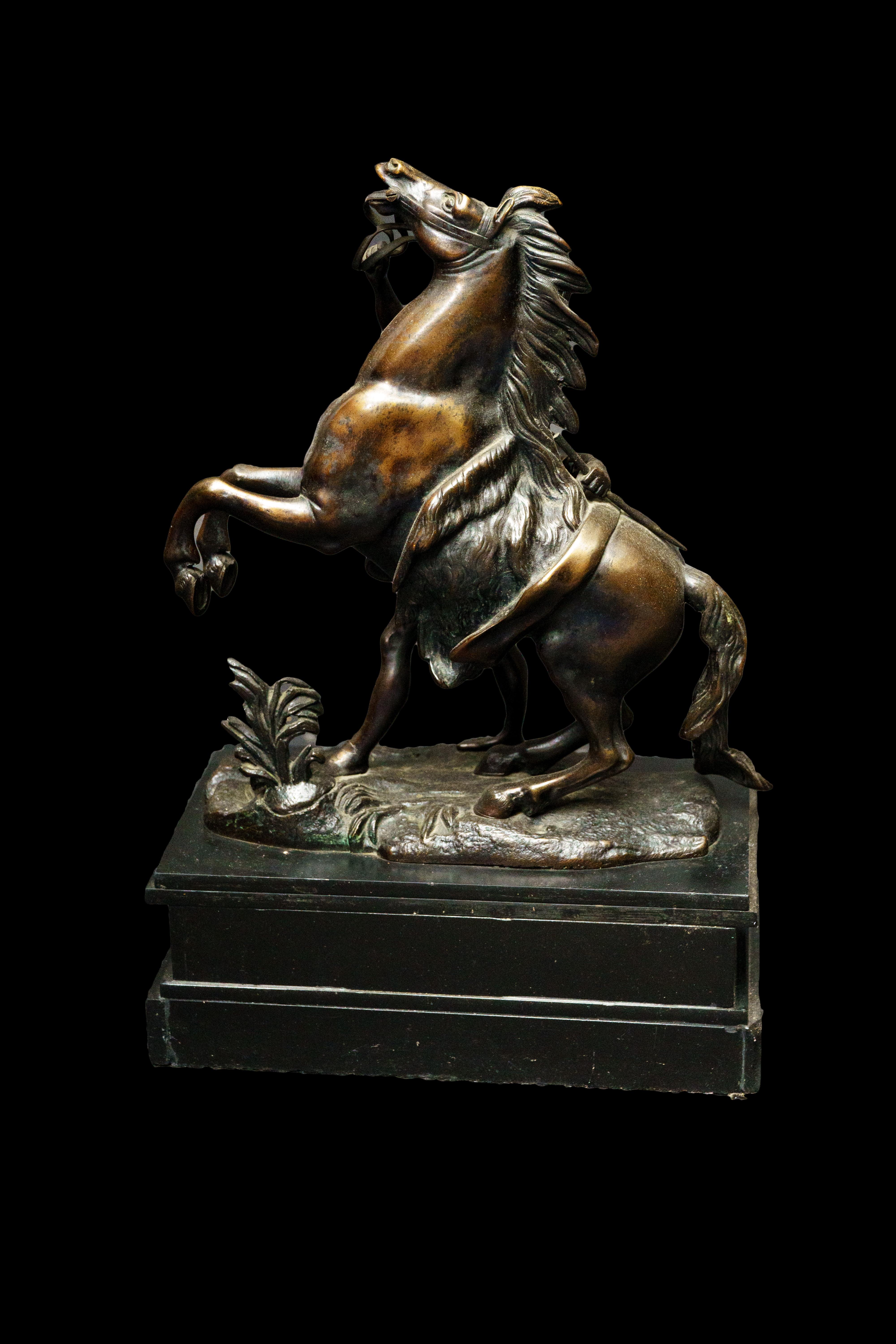 Pair of Bronze Marley Horses Att Guillan Custou In Excellent Condition In New York, NY